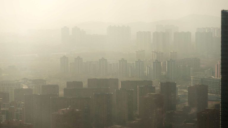 Polusi Udara & PM 2.5 Jadi Faktor Risiko Kanker Paru-paru