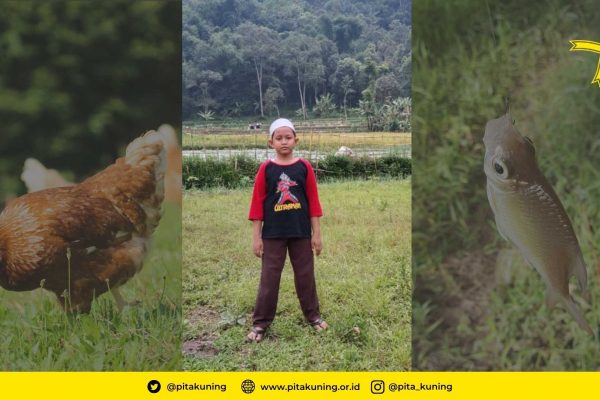 APK Fadhil seperti Alshad Ahmad