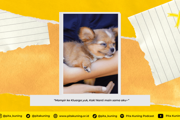 Latte, Anggota Baru Pita Kuning